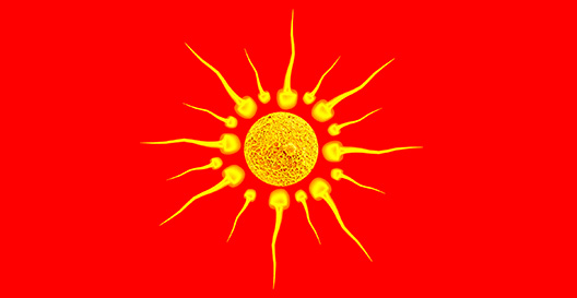 Додека сонцето на ЕУ заоѓа, сонцето на Груевски ќе изгрева!